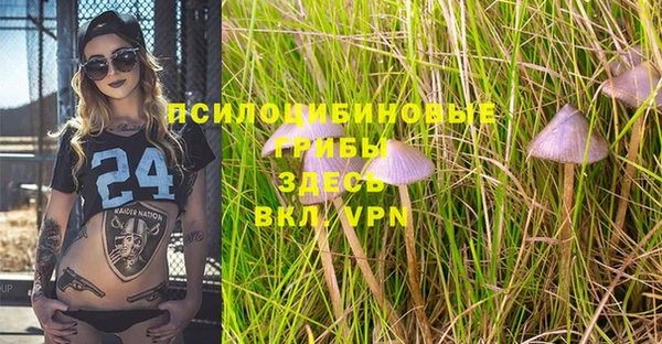 дживик Горнозаводск