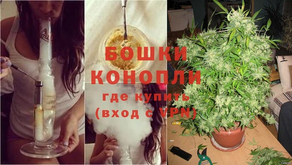 твердый Горняк