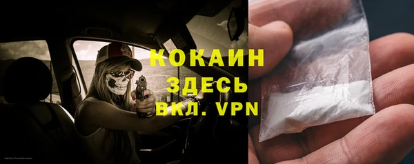 дживик Горнозаводск