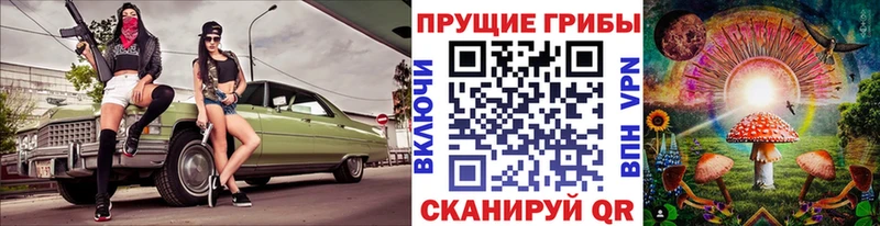 Псилоцибиновые грибы Magic Shrooms  Купить где  Кинель 